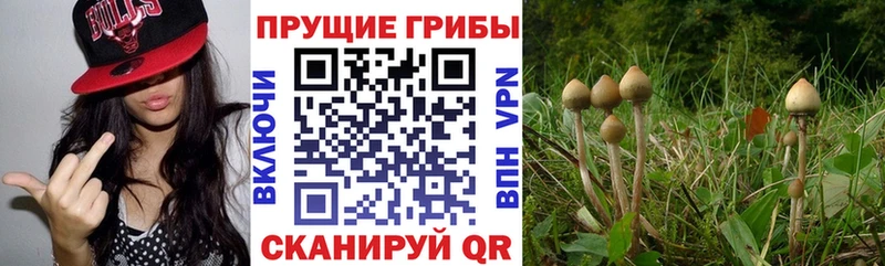 Галлюциногенные грибы мицелий  Полысаево 