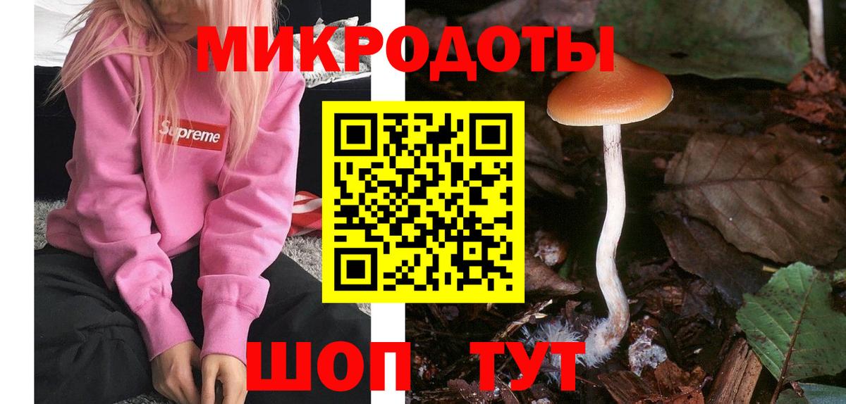 Галлюциногенные грибы Psilocybe  Галлюциногенные грибы Psilocybine cubensis  Вход с VPN  цены   Полысаево 