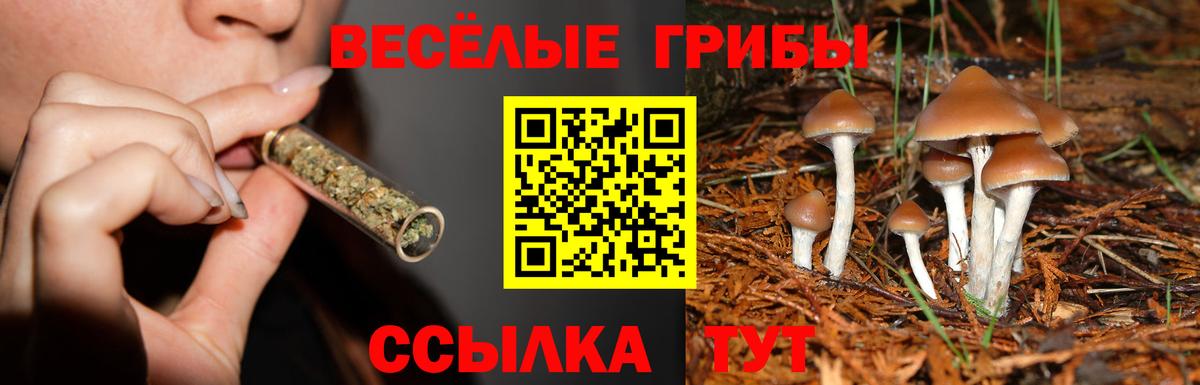 Галлюциногенные грибы прущие грибы Полысаево